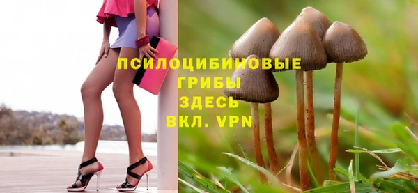 Альфа ПВП Переславль-Залесский