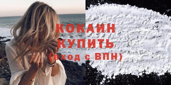 бошки Пересвет