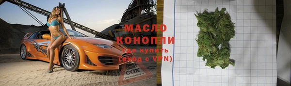 бошки Пересвет