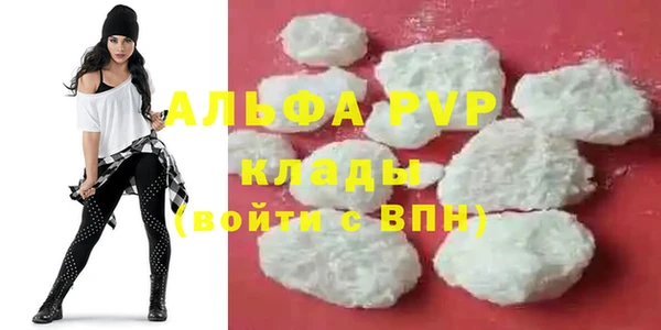 spice Тихвин