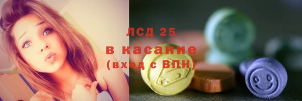 бошки Пересвет