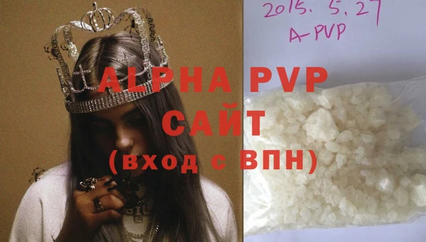 сатива Осинники