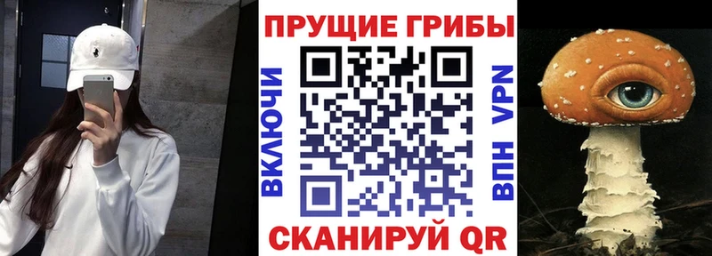 Псилоцибиновые грибы прущие грибы  Камбарка 
