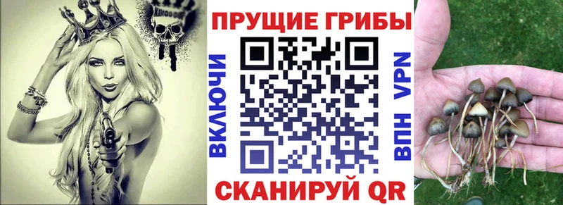 Псилоцибиновые грибы ЛСД Камбарка